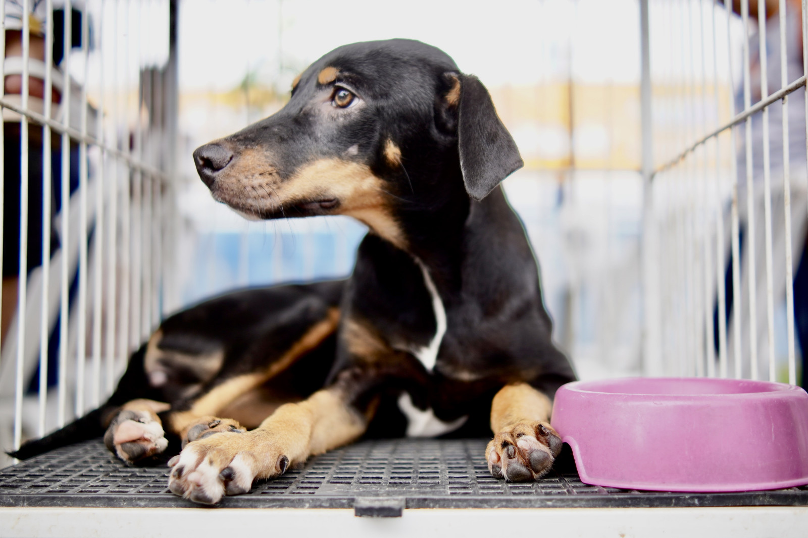 Notícia São Cristóvão