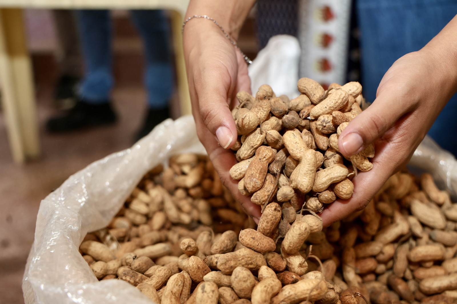 Notícia São Cristóvão