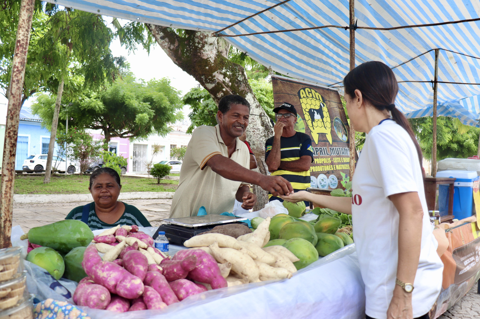 Notícia São Cristóvão